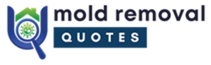 mold remediation canton